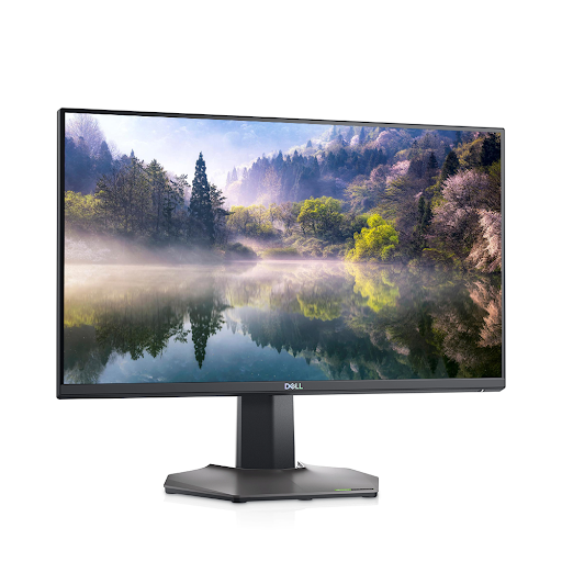 Màn hình LCD Dell 24.5inch S2522HG