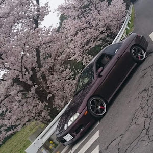 マークX