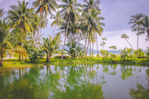 Caribean lake di simona cancelli