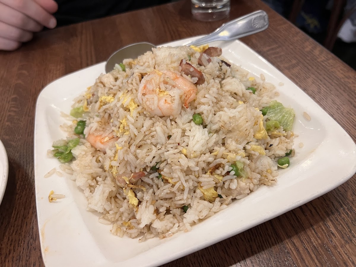 Fried rice: very salty, bland