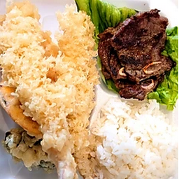 Deluxe Bento Box