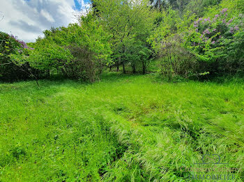 terrain à batir à Salvezines (11)