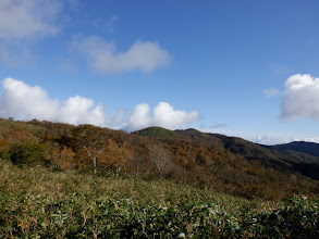 笹原から笹刈山（中央）を望む