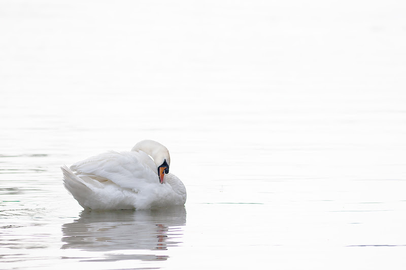 nel silenzio della natura di angart71