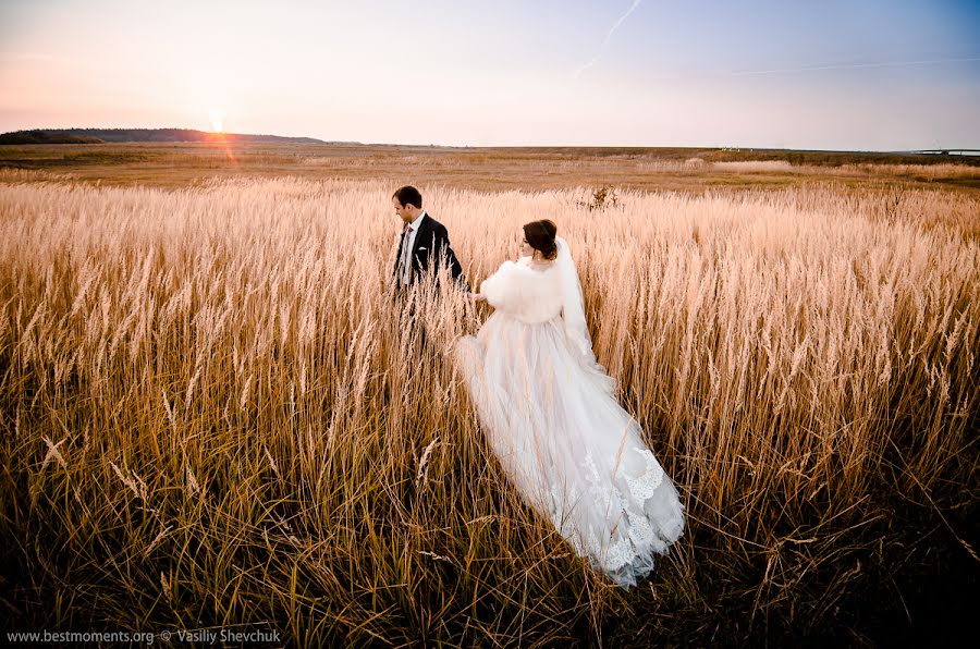 Photographe de mariage Vasiliy Shevchuk (shevchuk). Photo du 2 décembre 2015