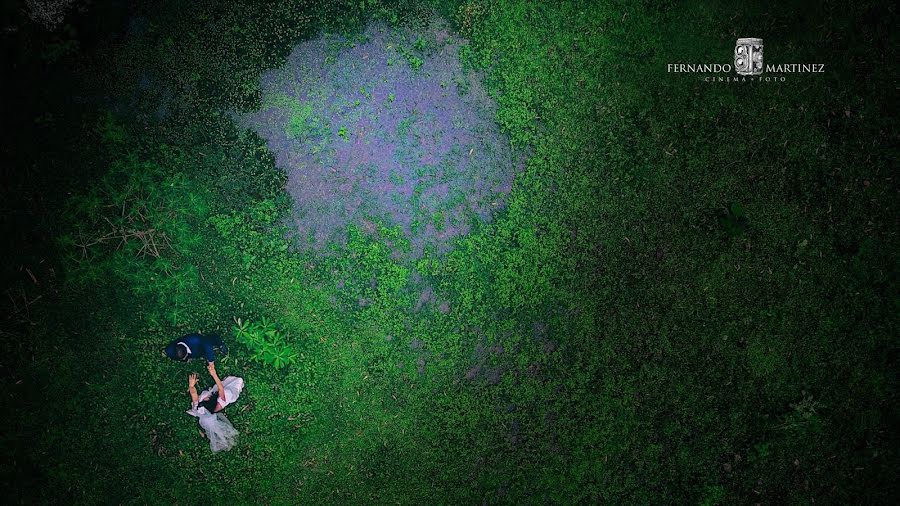 Fotógrafo de bodas Fernando Martínez (fernandomartin). Foto del 3 de diciembre 2017