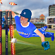 Wicket Keeper 2019: Cricket Cup Download on Windows