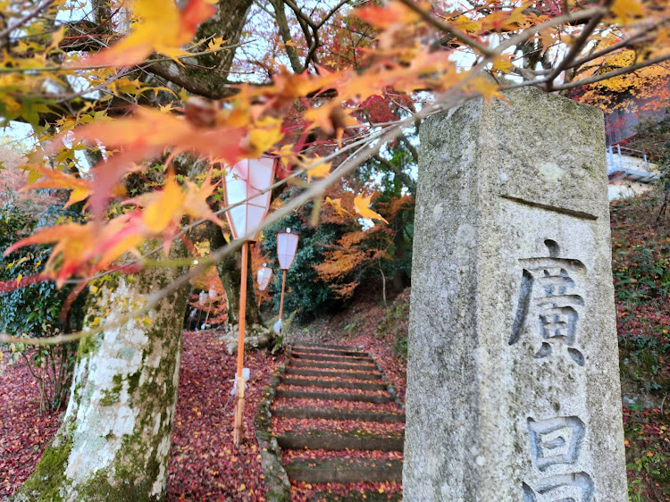 の投稿画像11枚目