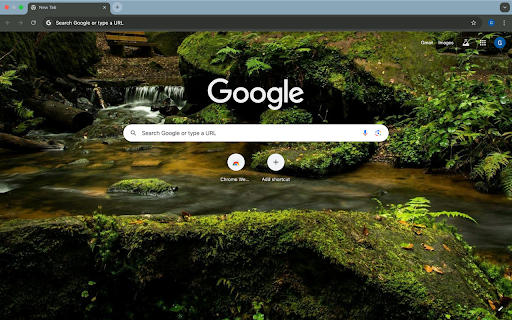 source stream screenshot 2