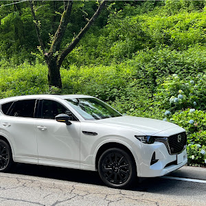 CX-60 KH3R3P