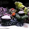 miniatures image - 3