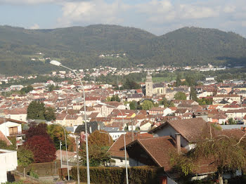 terrain à Remiremont (88)