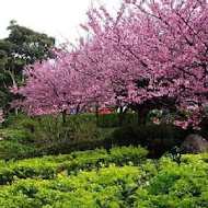 三芝二號倉庫咖啡館