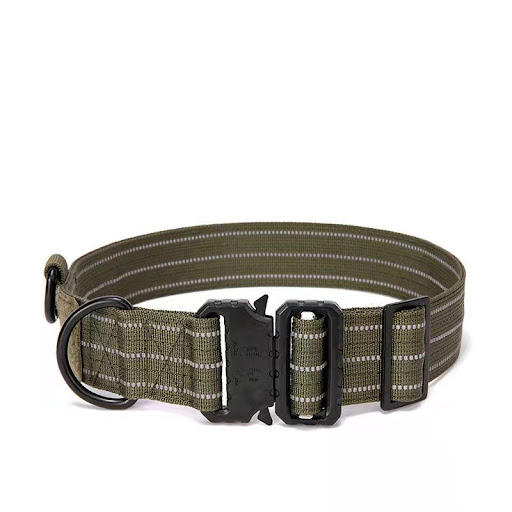 Title 9, Tactical Outdoor Dog Collar for Golden Hair Dog...