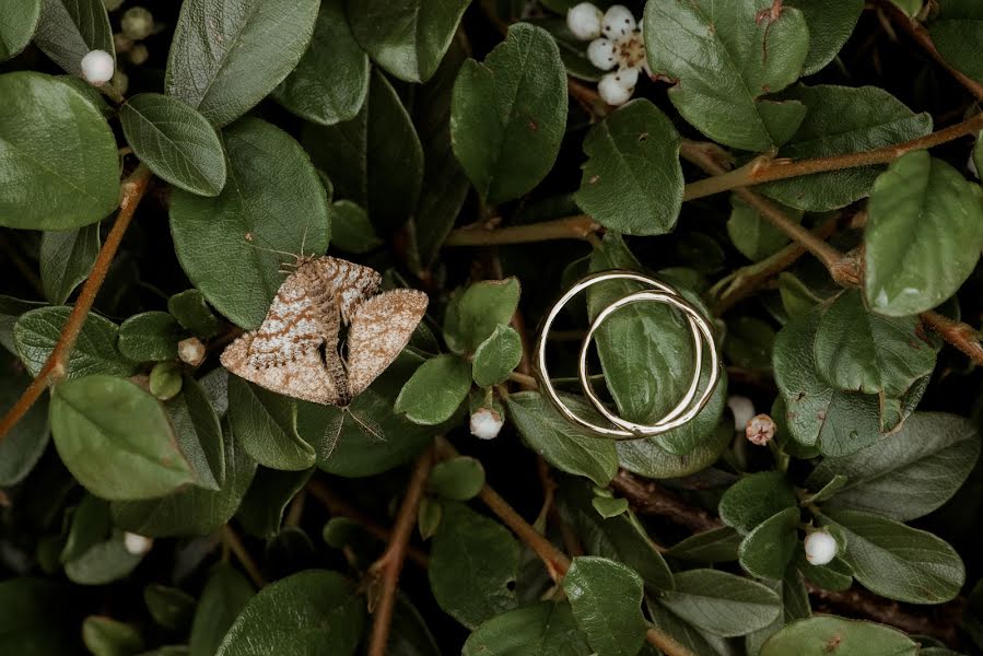 Φωτογράφος γάμων Sue Konvalinka (suzannefoto). Φωτογραφία: 13 Ιουνίου 2023