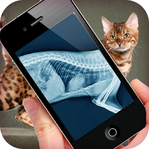 Simulation XRay Cat  Icon