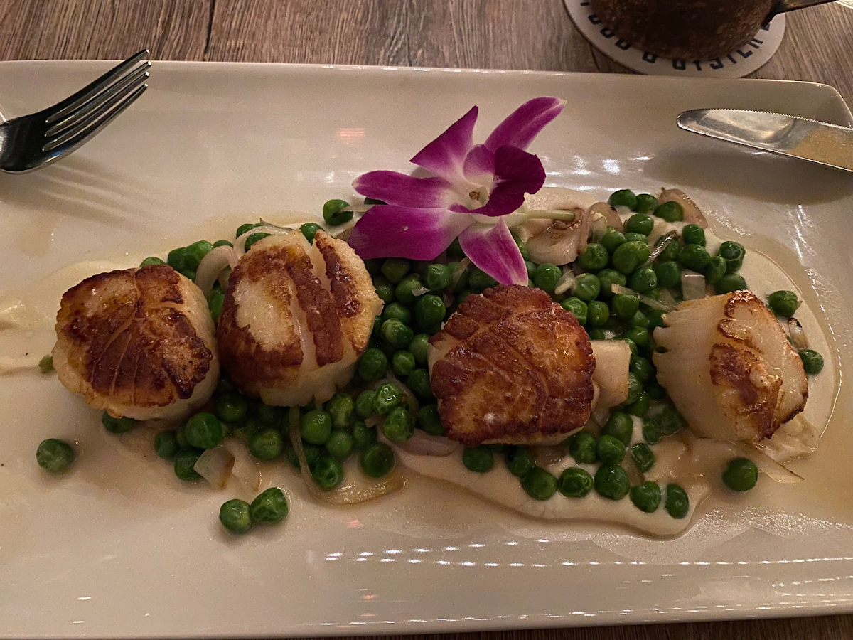 Bay scallops