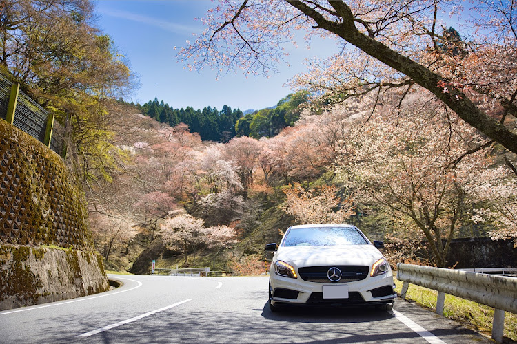 Aクラスのいつもいいね＆コメントありがとうございます・桜とコラボ🌸・春の交通安全週間に関するカスタム事例の投稿画像2枚目