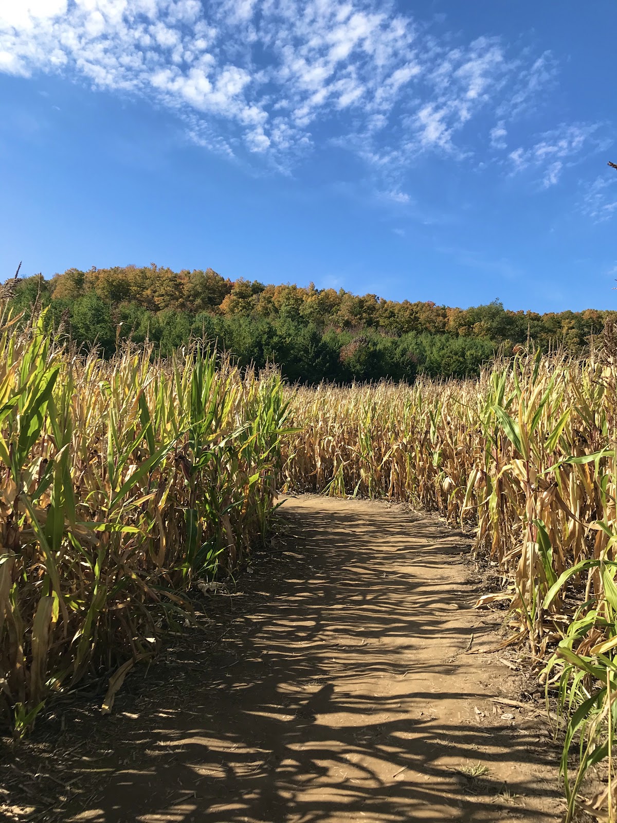 farm tours ontario