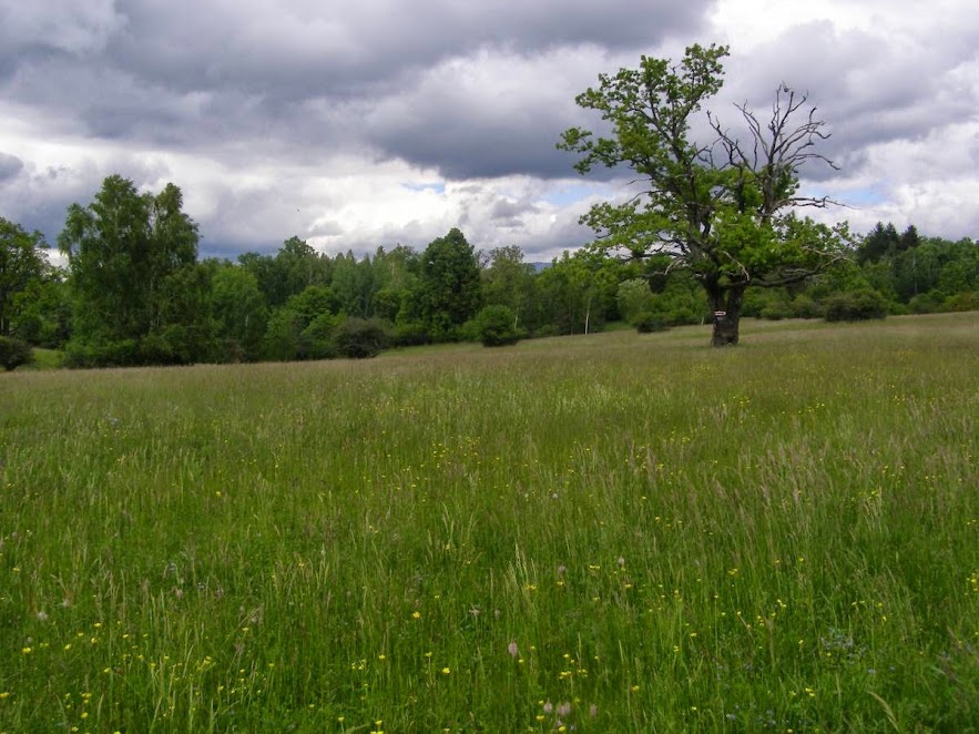 Silická planina