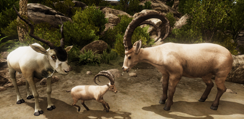 Ultimate Ibex Simulator