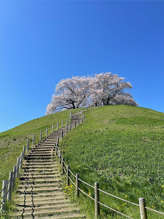 の投稿画像3枚目