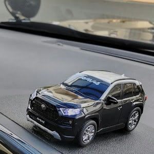 RAV4 MXAA54