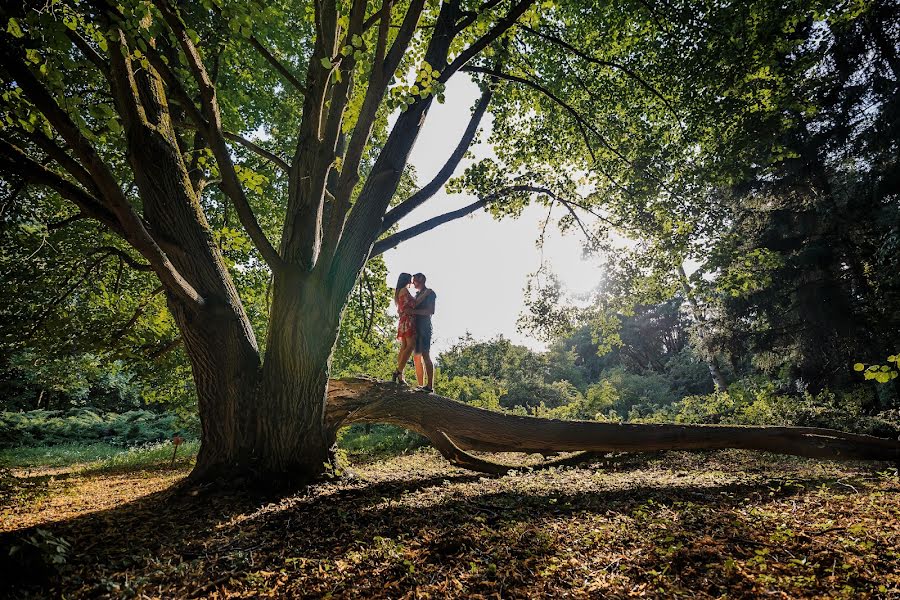 Wedding photographer Andrey Sasin (andrik). Photo of 13 August 2018