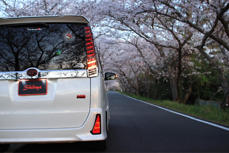 ヴォクシーのヴォクシー・桜と愛車・コロナウイルスに負けるなに関するカスタム事例の投稿画像3枚目