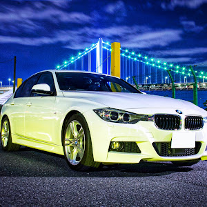 320i M Sport (F30)