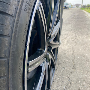 エリシオン RR1