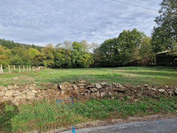 maison neuve à Bout-du-Pont-de-Larn (81)