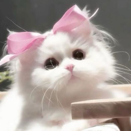 美音里