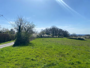 terrain à Chatres (24)