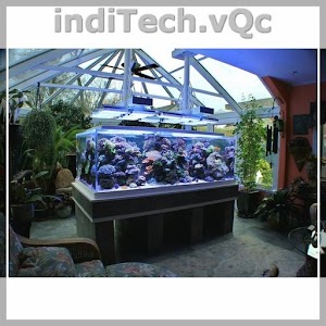 Download Aquarium Ideas For PC Windows and Mac