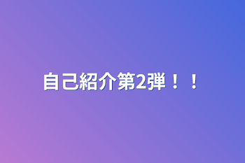 自己紹介第2弾！！