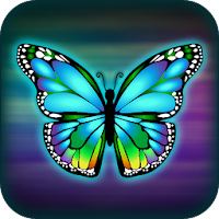  Butterfly Wallpaper  - Cute Butterfly