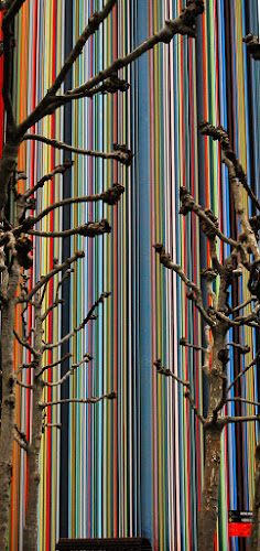 Linee colorate di PaoloPalazzi