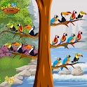 Birds Sort Color- Puzzle Games