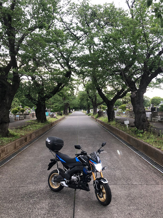 キチさんが投稿した母の日・Z125PRO・息子の愛車・お買い物スペシャルに関するカスタム事例の投稿画像4枚目