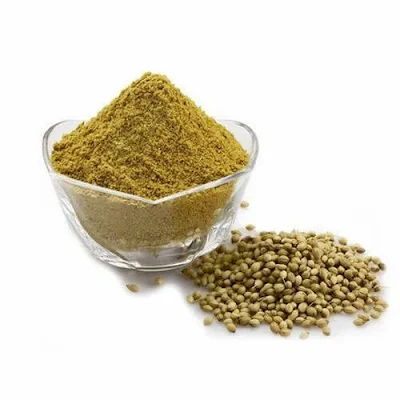 Powder - Dhania - 200 g