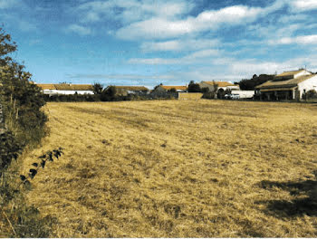 terrain à Royan (17)