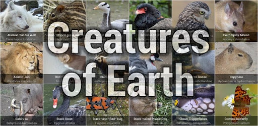 Creatures of Earth