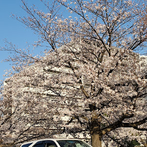 マークIIブリット JZX110W