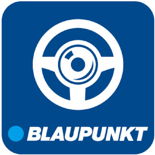 Blaupunkt Mobile DVR Control