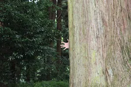 運営様どーして🙇‍♀️😭