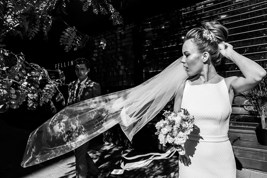 Fotógrafo de bodas Tatyana Bogachek (trofim83). Foto del 17 de noviembre 2018