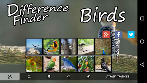 Difference Finder Birds