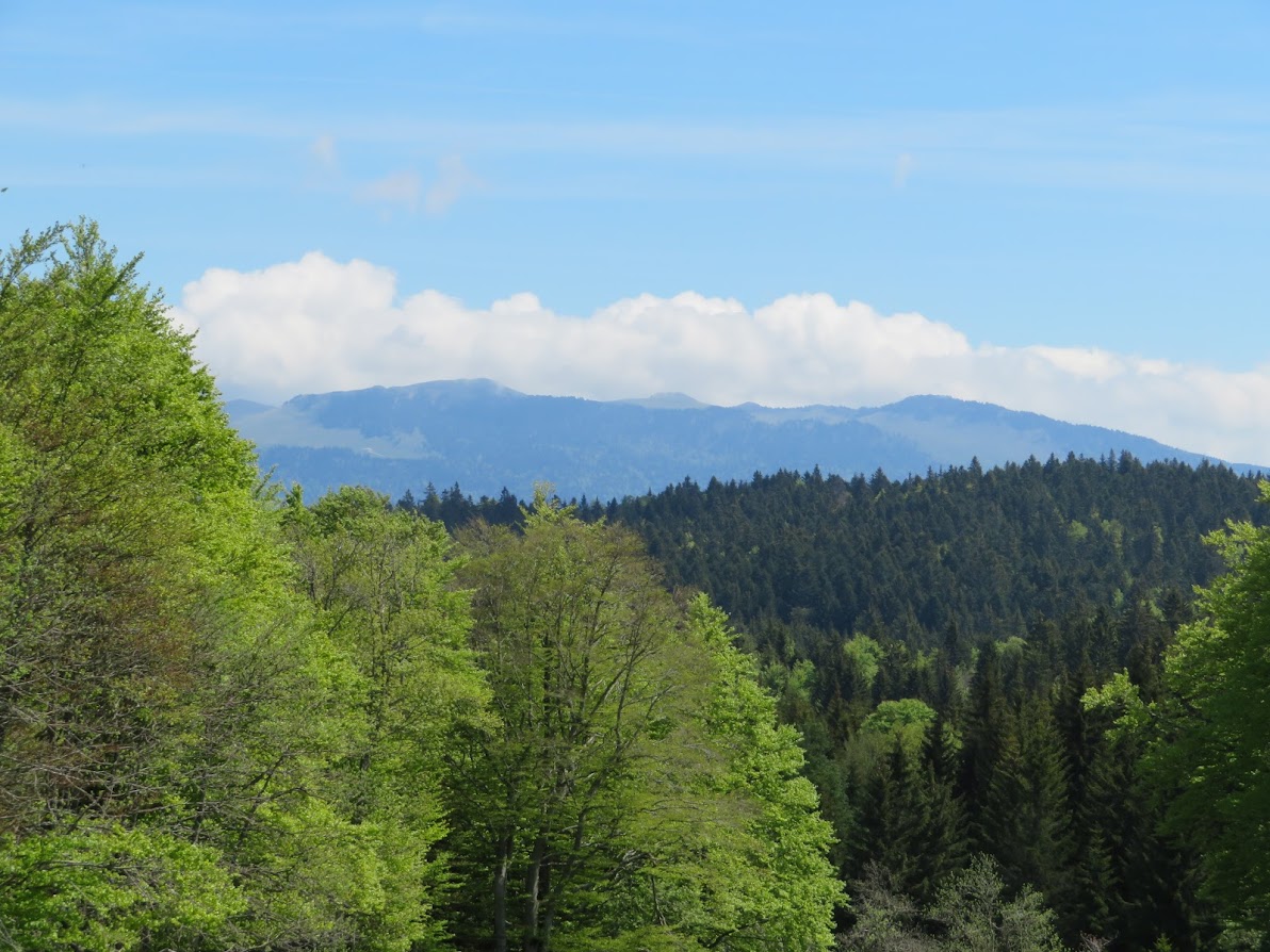 Plateau du Retord et vue des Alpes en bécane.. J4wP8iDd0eoNewemOmgTJIJvVWrlrMXpf51hnai6YccybEWtjJLHbCwFYpZE6lWX8YEMeVldcrfy26jEEkGnsSetRxqTdsCtRE9sFxkdv5PXLQMZdTvgElo9dGtuMZlKO5xe2mcUwA4auwmXVhjl0UzYiMnVlnKrtdUfcqHJH5tbfmYBKVJOia9zAtTEx8H4GhqBTNSs_ybJfg9ZC-jh3iiBXRDsBtX3DR_VuGTmatvafASOUTBlOh0xo6qODXlUuyEu5RabtxMeD3wj9gCepHKAb3RG5ypm-Vw6FffgpLIx9-cuSY-8X53WIpBRjhlAkB1s8DAkZVbKHfwonLbChq4xY-ttFl1pDYcu22TYhWIgPaViATCTHHVI9lSVD1thymdRax9mAbGgY2xqOMoACUUto6ScVRRF6Pme-CZMDD0g8qZWAhQF8X6lGwtyUeOXuxc9nN128pT4XLQu473WeVdmqKOJ1fTWlmC96SbKVwajpi33GloJMMl1oQ1qZpGS5AgW_yE8sChgcs-5gLKP5EsP3FLajRml5dMOD--K26fWKVabi9WmtPYa7C_j8t3uBcWXbon72eMkGau34Ca9KzO6YnyDkauZVqHX8YKnA1BoFFZ8_hi3UvHKwKxO0tXUpzpVQvWpdNXeKcY2zChKkAmVGIjVKHNSORnCFwPUrvs=w1192-h894-no