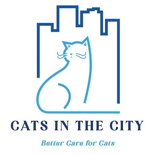 Cats in the City